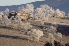 photo1-paysage-village