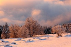 photo2-paysage-rose