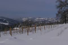PF-P1110438