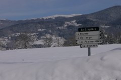 PF-P1110459