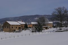 PF-P1110473
