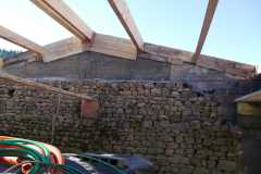 PF-P1140132
