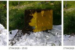 PF-P1140832-tmp