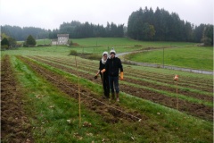 Plantation2