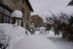 PF-P1200303