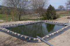 PF-P1260149