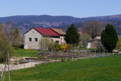 PF-P1260327