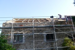 PF-P1270006