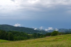 PF-P1090411