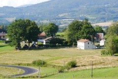 PF-P1090703