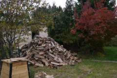 PF-P1170228-bb